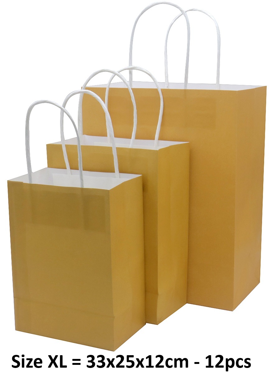 R-M8.1 PK1009-004XL Paper Gift Bag Size XL 33x25x12cm - 12pcs