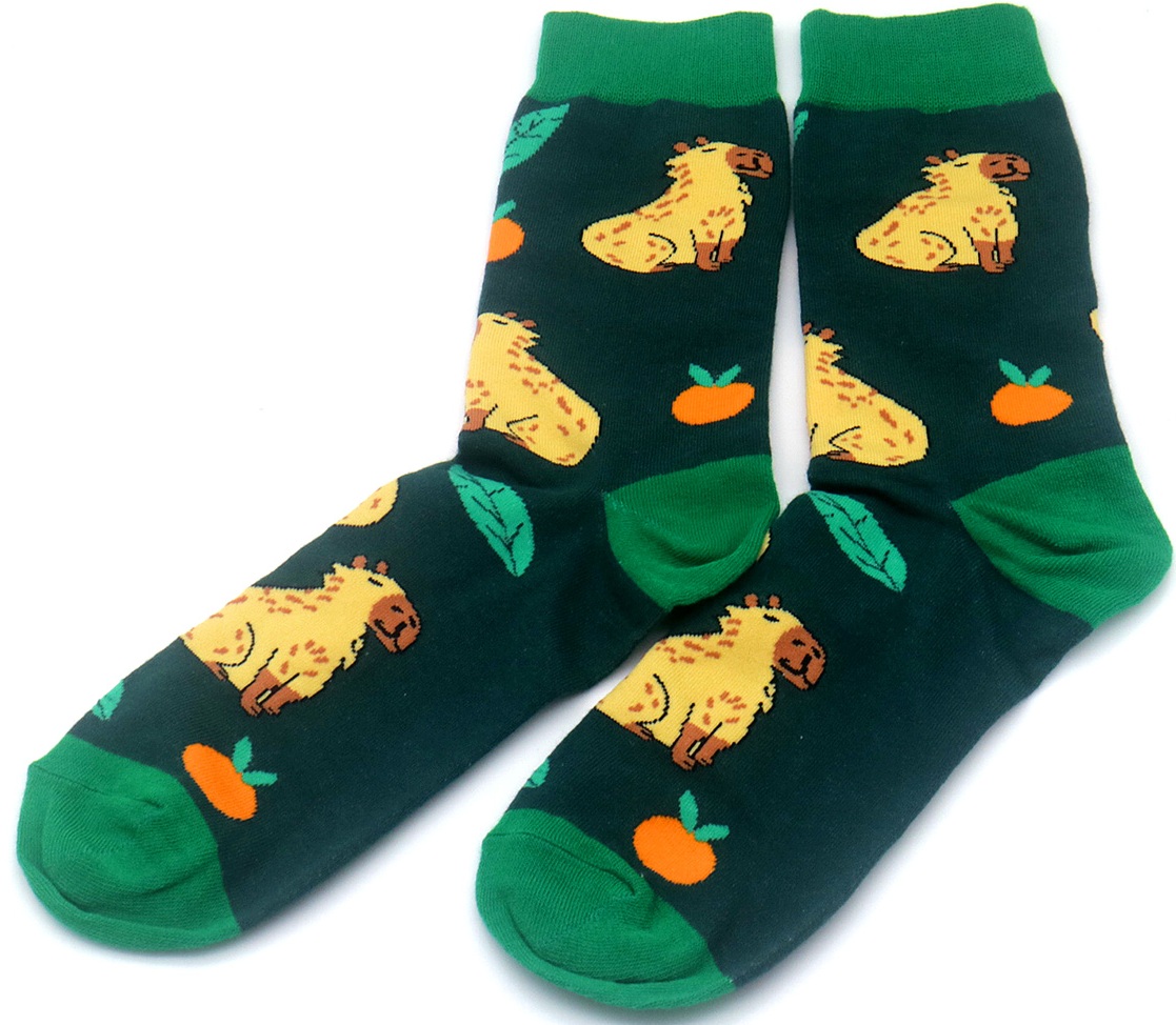 S-D3.2 SOCKS2548-005 Pair of Socks Size 38-45 Capybara