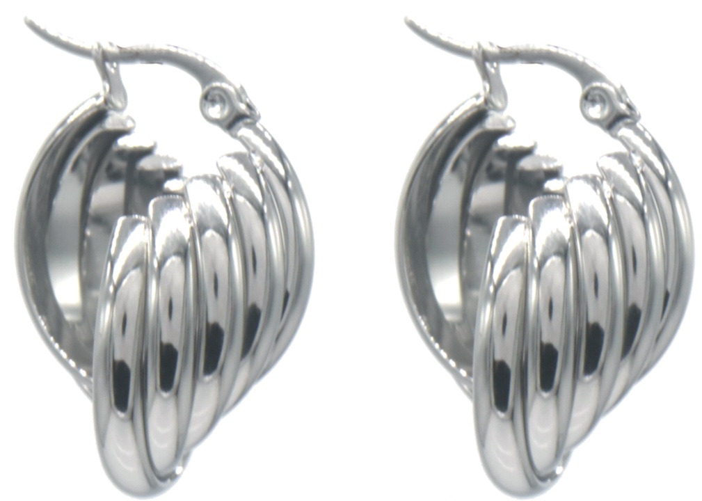 A-A20.1 E2593-220S S. Steel Earrings 2.8cm