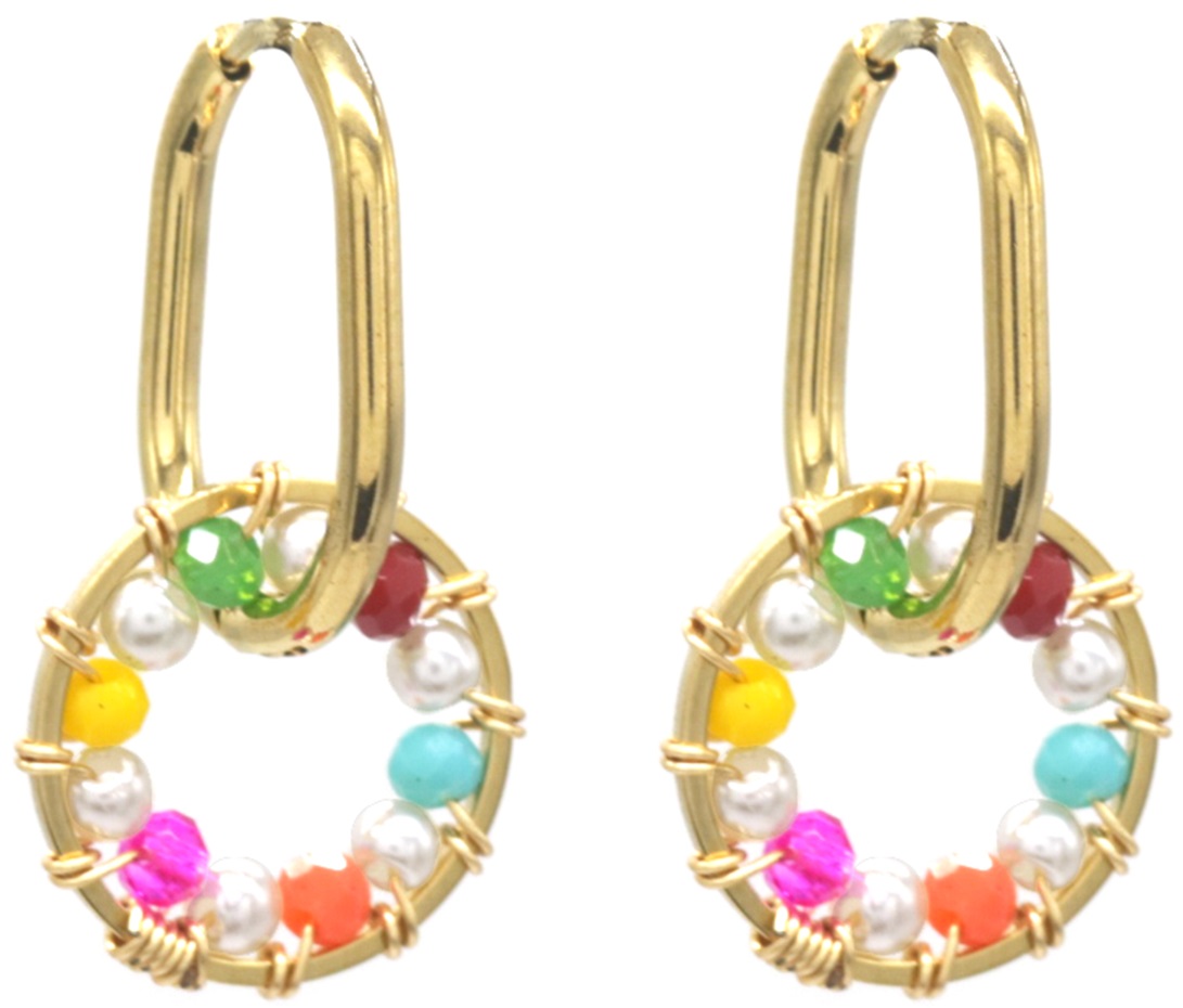 C-C20.4 E221-310G S. Steel Earrings Circle Multi Color 3cm