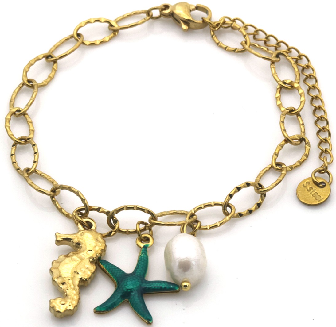 C-A14.2 B936-014G S. Steel Bracelet Charms
