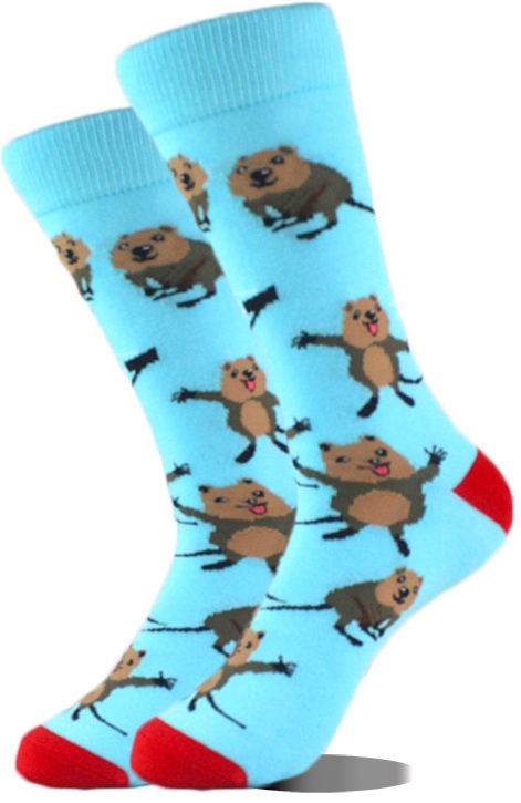 S-I8.3  SOCKS2512-040 Pair of Socks Size 38-45 Quokka