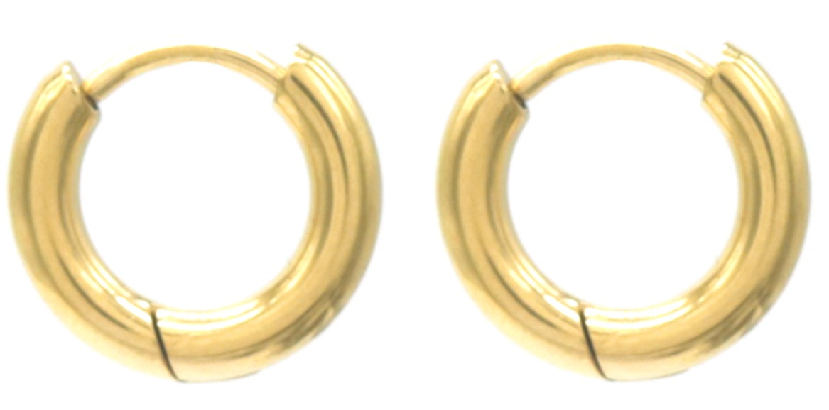 I-A3.2 E015-003G S. Steel Earrings 12mm