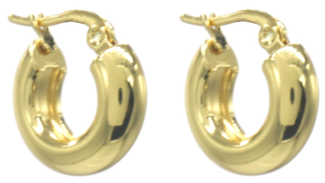 A-C19.5 E2593-202G S. Steel Earrings 16mm