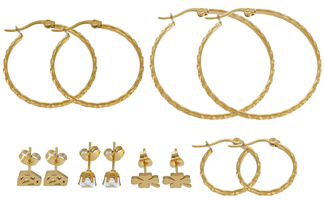 C-A24.2 E1131-134G S. Steel Earring Set 6 Pairs