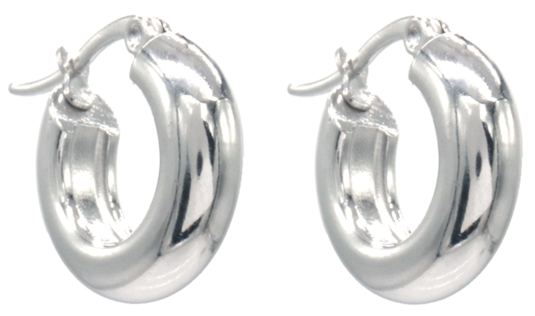 B-C6.3  E2593-202S S. Steel Earrings 18mm