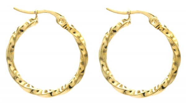 C-B4.3 E015-008G S. Steel Earring Twisted Hoop 2.5cm