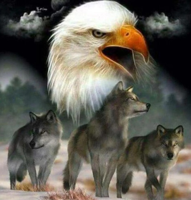 R-C7.1 DP2545030 Diamond Painting Canvas 40x30cm - Painting 35x25cm Eagle R-C7.1 DP2545030 Diamond Painting Canvas 40x30cm - Painting 35x25cm Eagle