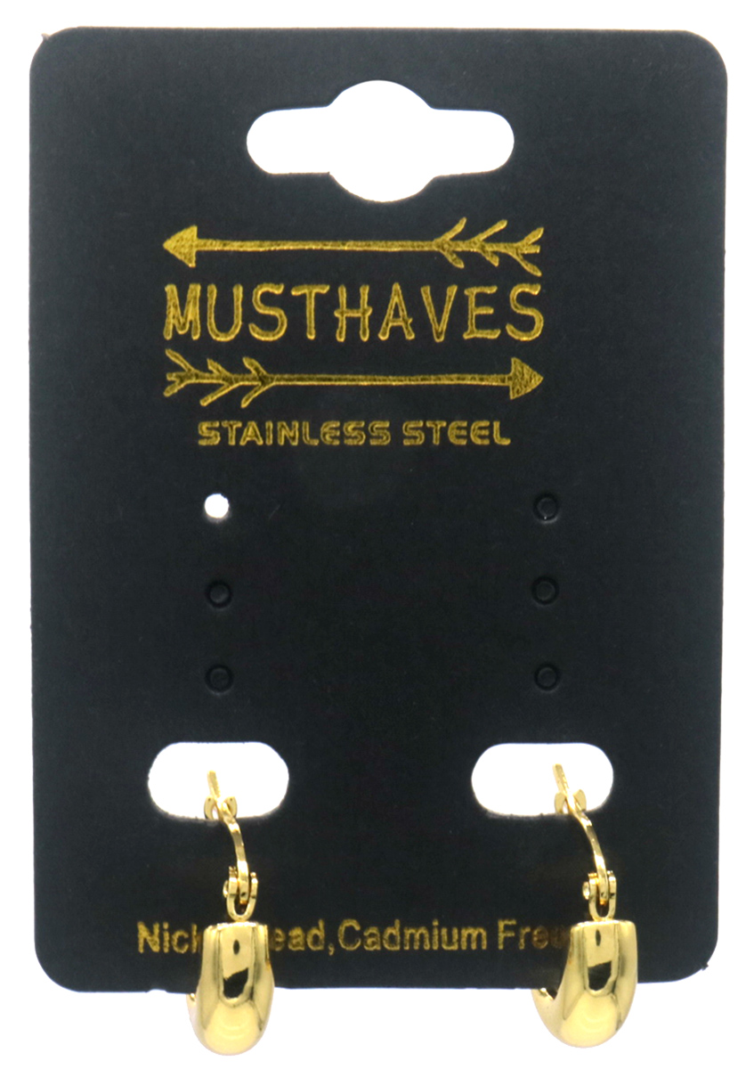 A-C19.5 E2593-202G S. Steel Earrings 16mm