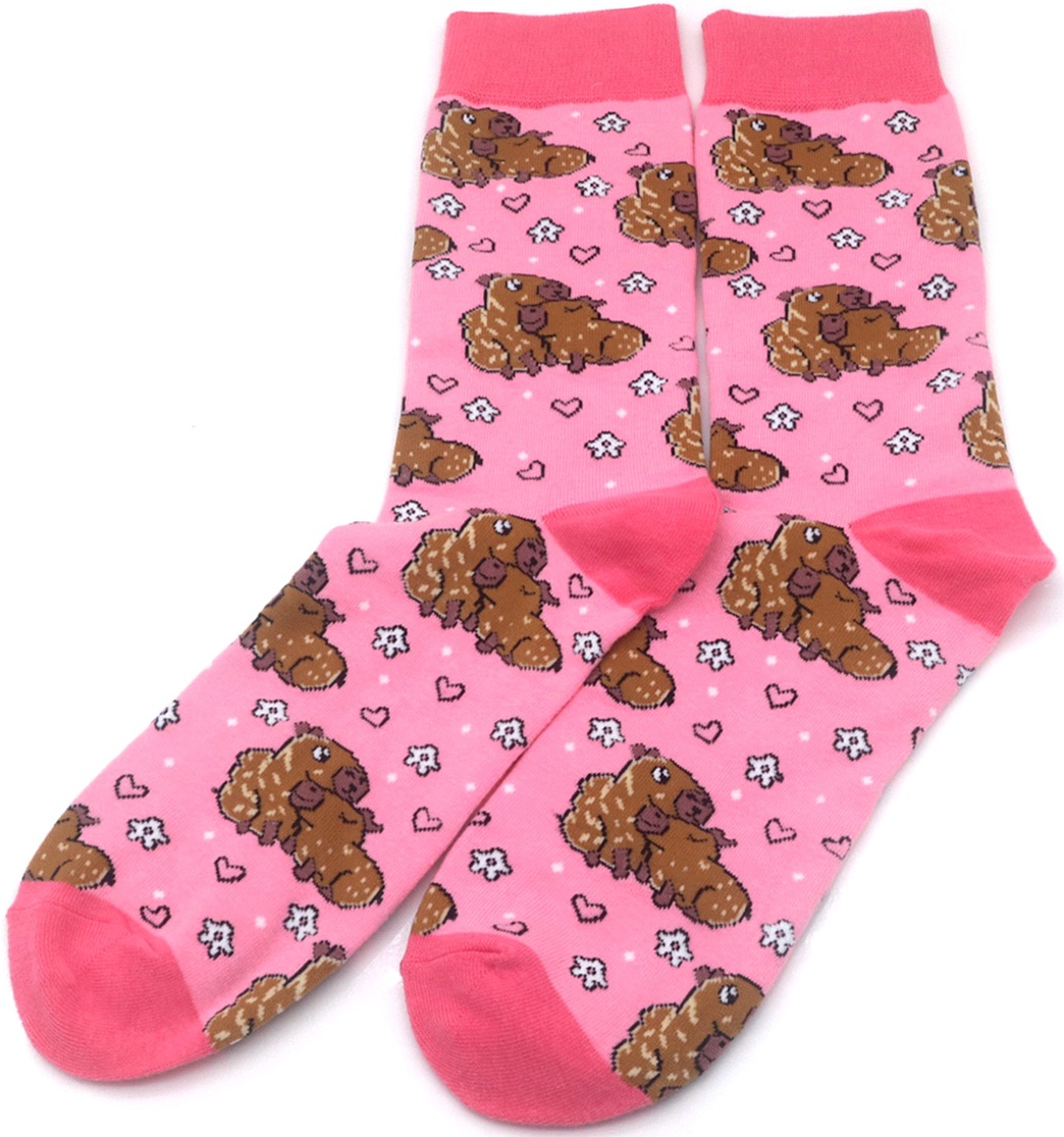 S-H6.4  SOCKS2548-012 Pair of Socks Size 38-45 Capybara