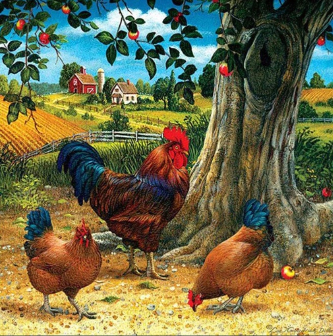 R-F6.1 DP2545020  Diamond Painting Canvas 40x30cm - Painting 35x25cm Chickens