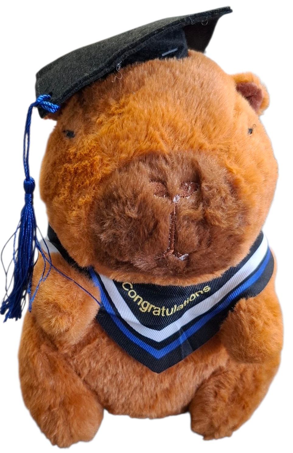 Y-D3.3 TOY939-024 Plush Capybara Student 21cm