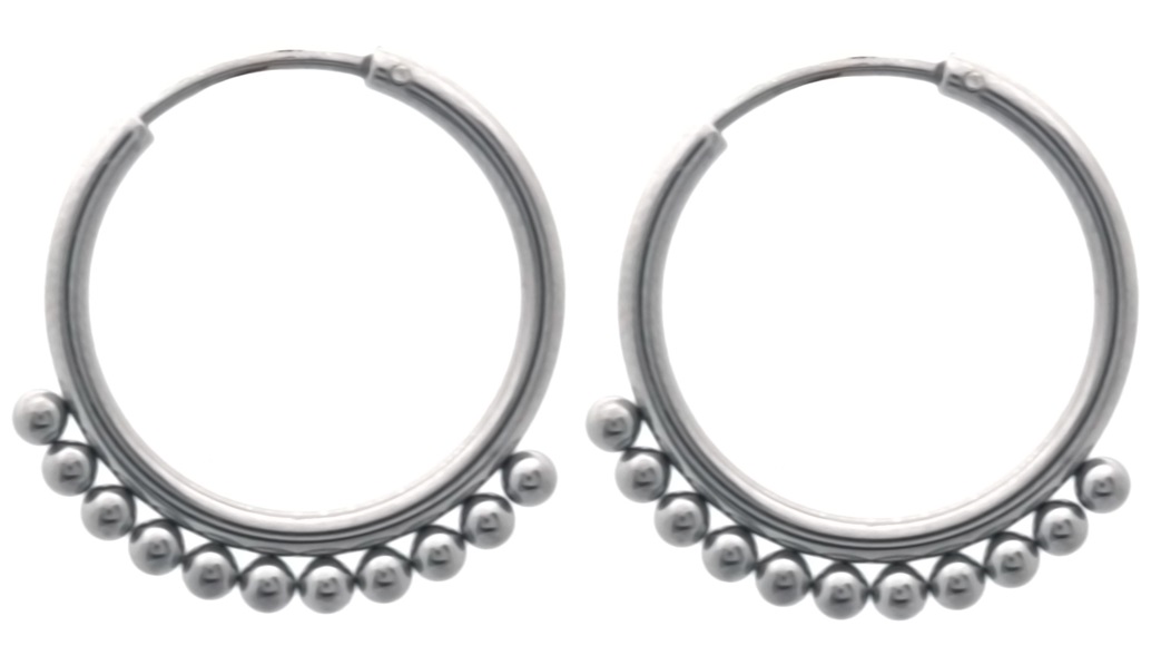 H-B20.5 E074-036S S. Steel Earrings 2.2cm