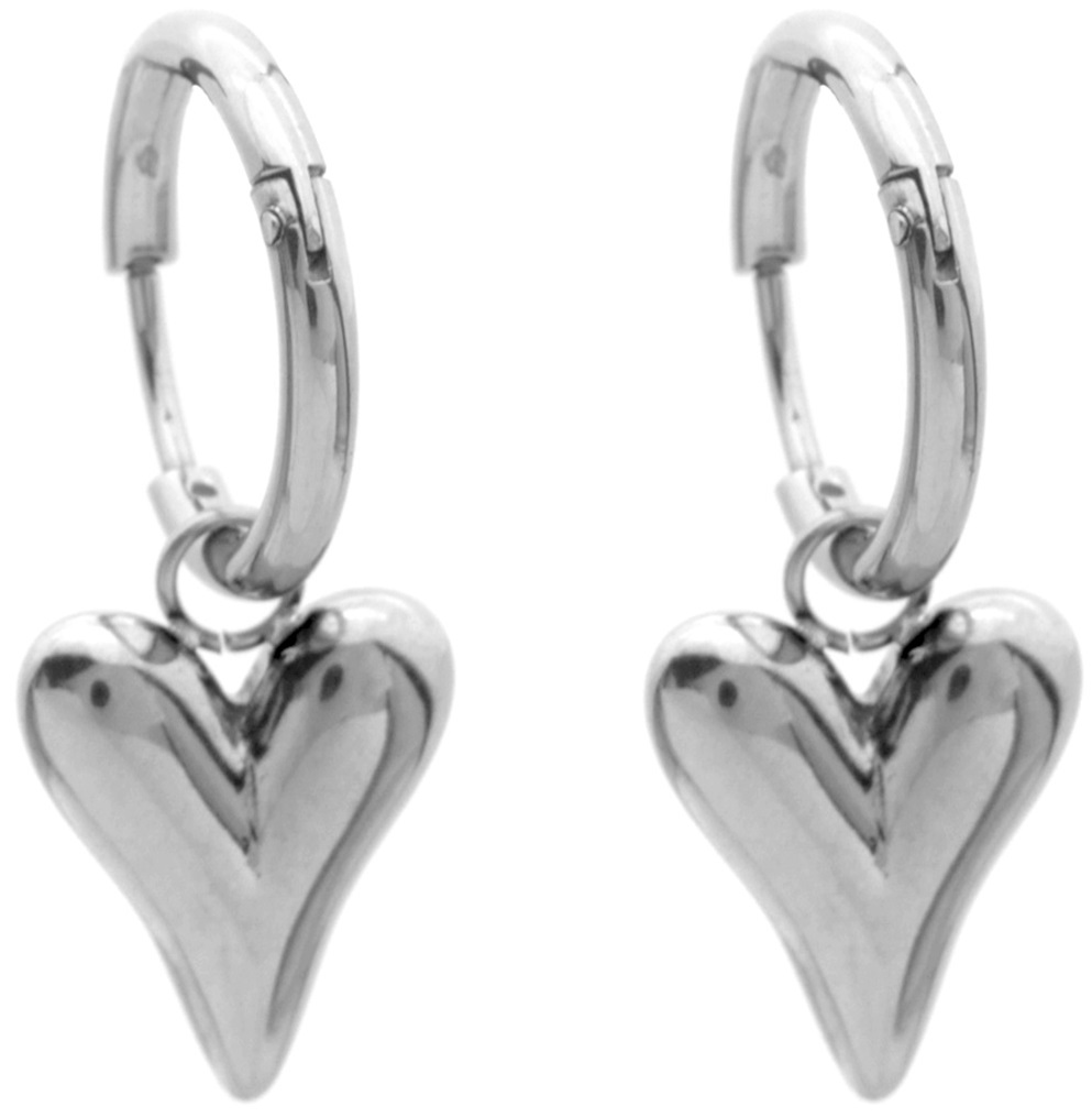 E-D17.1 E087-067S S. Steel Earrings Heart 3cm
