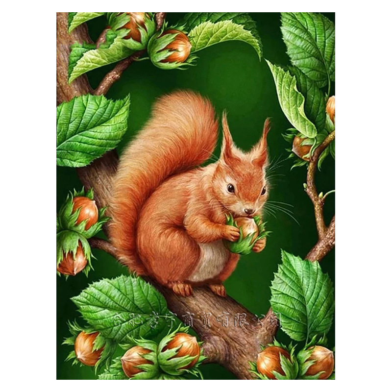 K-F3.2 DP2545070 Diamond Painting -Canvas 30x20cm - Painting 25x15cm Squirrel