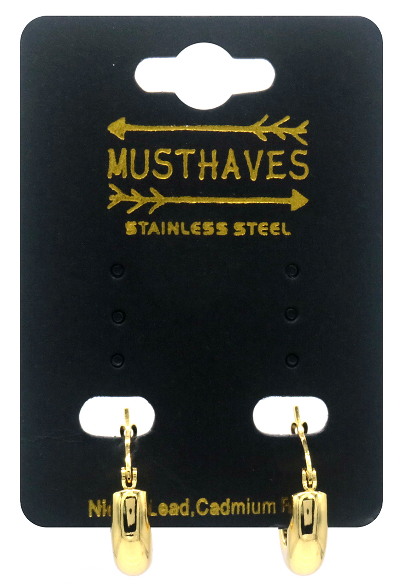 B-C7.1 E2593-202G S. Steel Earrings 18mm