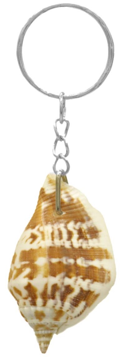 J-B11.1 KY618-007 Keychain Shell 4.5cm – 12pcs