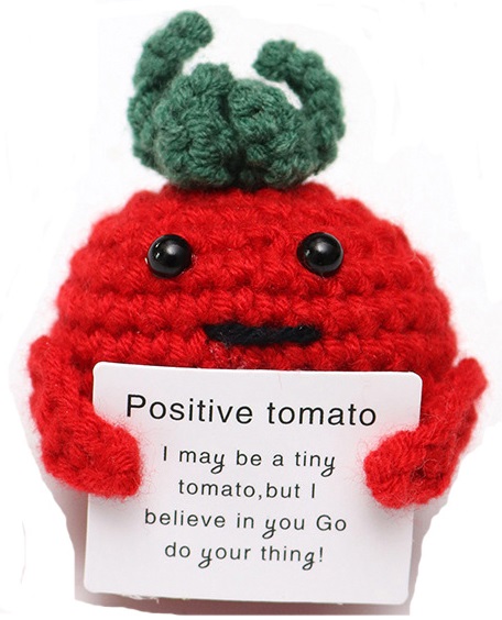 R-G6.2 T2405-014 Positive Tomato 7cm R-G6.2 T2405-014 Positive Tomato 7cm