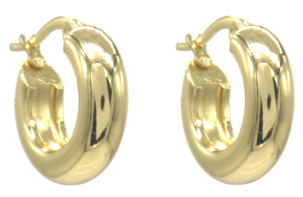B-C7.1 E2593-202G S. Steel Earrings 18mm