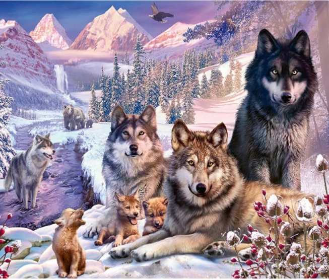 R-B7.2 DP2545038 Diamond Painting -Canvas 50x40cm - Painting 45x35cm Wolves