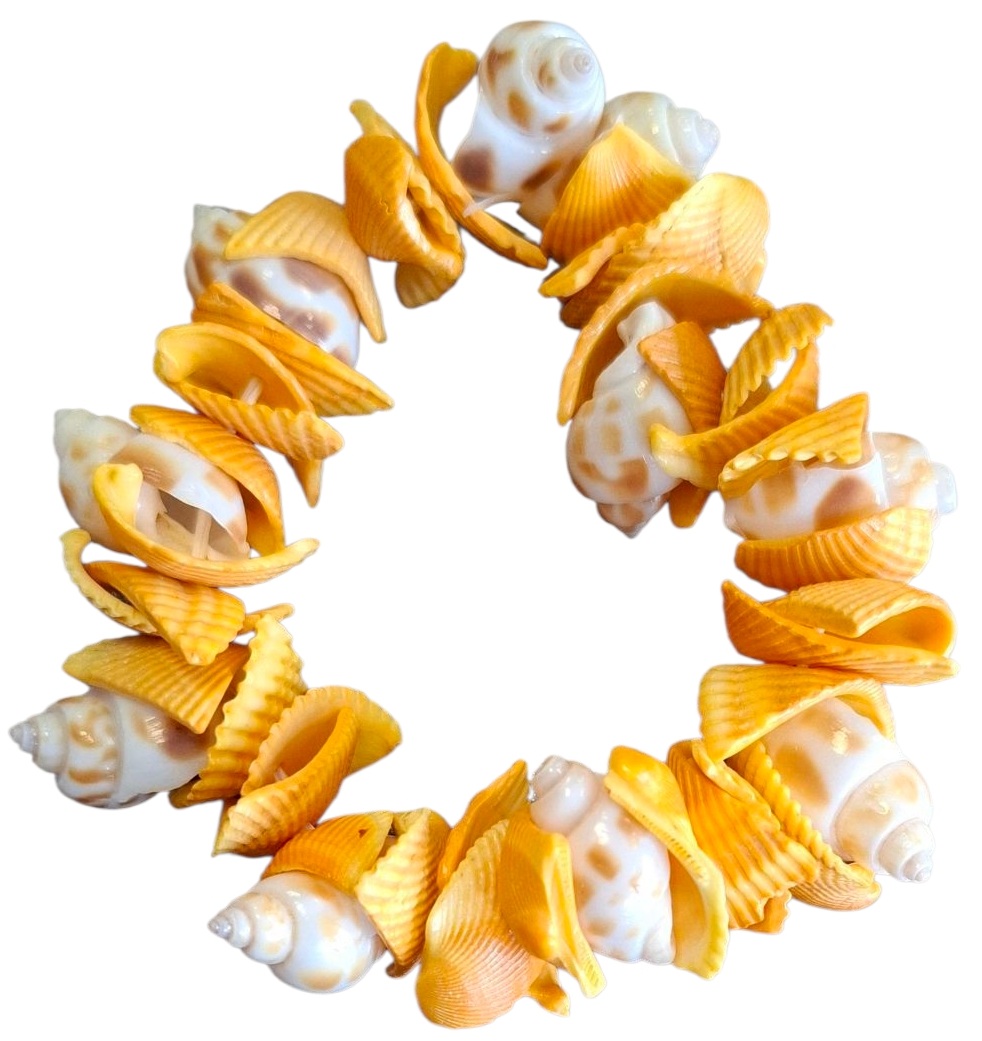 C-F3.1 B938-010 Elastic Bracelet Shells