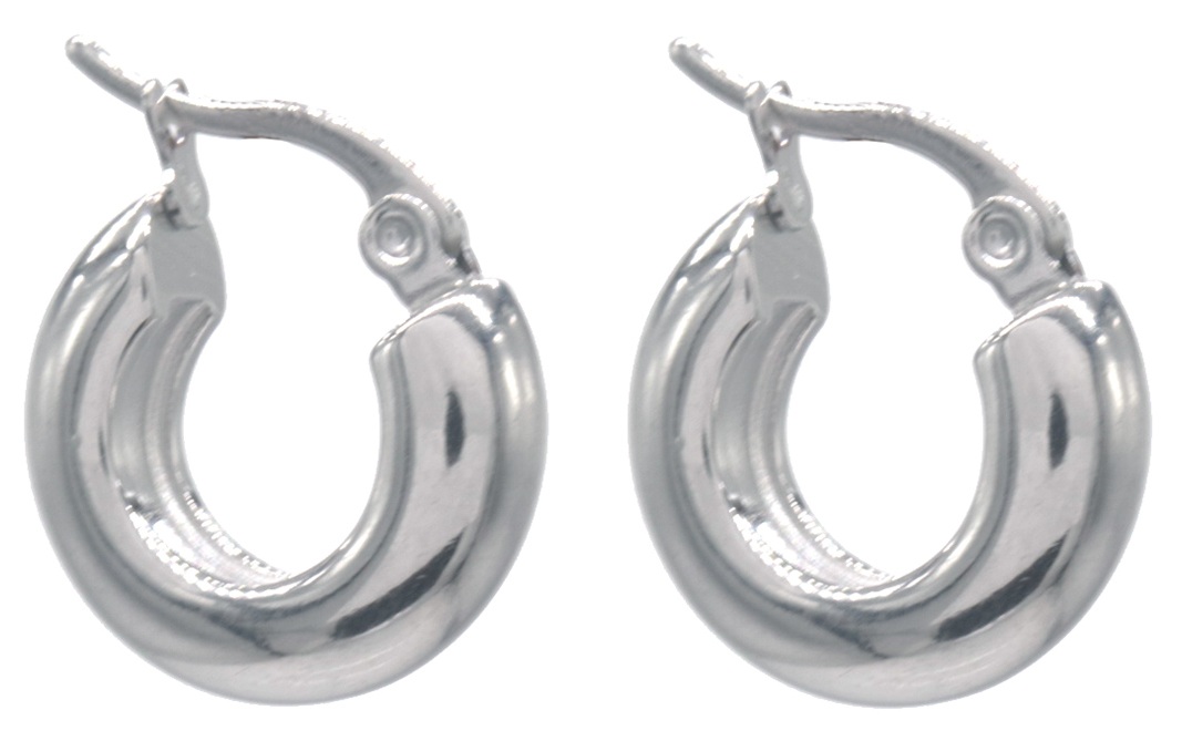 A-A6.3 E2593-202S S. Steel Earrings 16mm