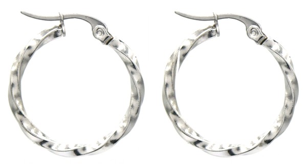 B-E17.1 E015-008S S. Steel Earring Twisted Hoop 2.5cm
