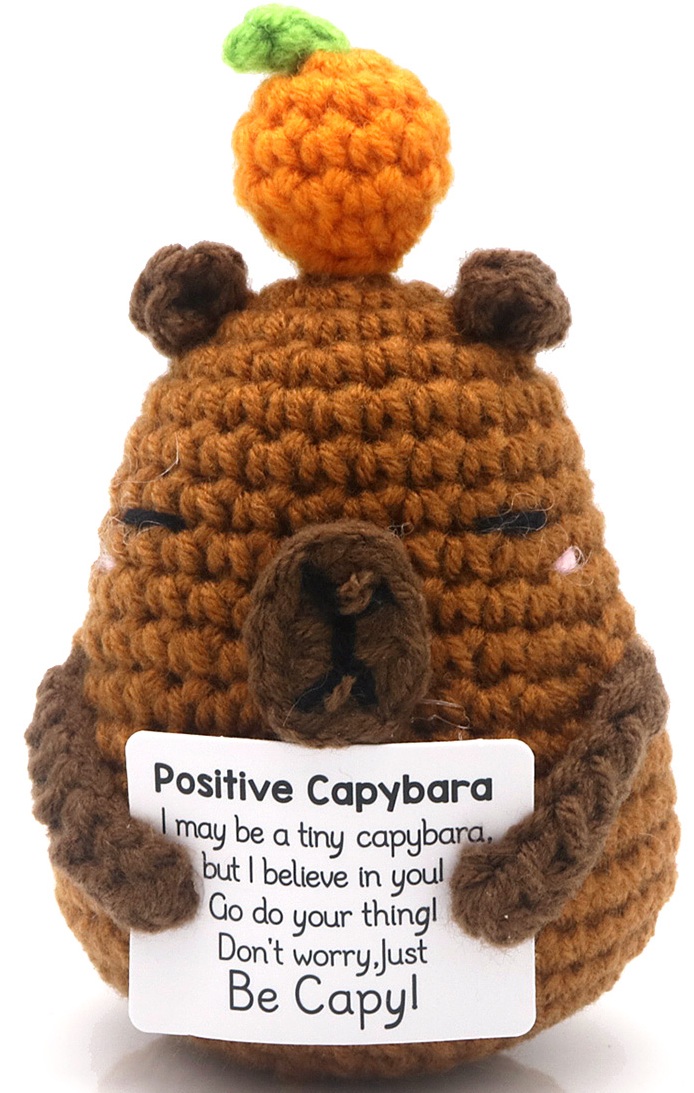 R-M7.2 T2405-277 Knitted Positive Capybara 11cm